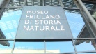 Serracchiani, Museo friulano storia naturale ha trovato casa
